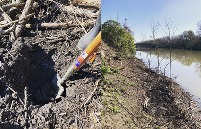 Plantación de árboles en la Reserva Ecológica Lago Lugano