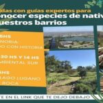 Recorridas gratuitas por la Comuna 8