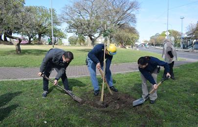 Maprimed y la Comuna 9 plantaron árboles en el parque Alberdi