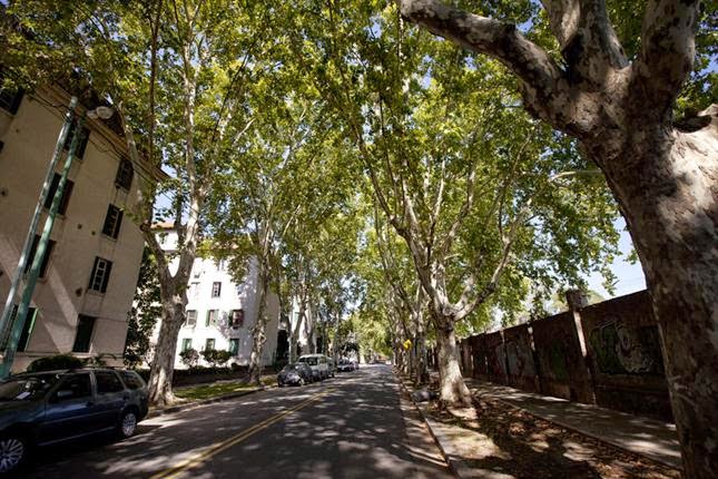 Festejos por el 118° Aniversario del Barrio Agronomía