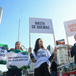 Ley de Humedales: “Si no hay consecuencias para quienes prenden los fuegos, lo van a seguir haciendo”