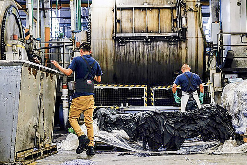 Curtiembres, saladeros y glifosato, actores en la contaminación del Riachuelo