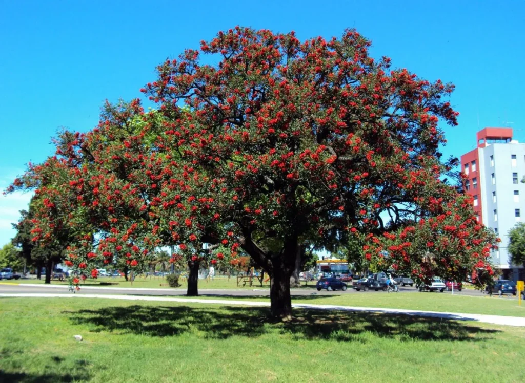 Día del Árbol y celebración de la Ciudad con nuevas plantaciones