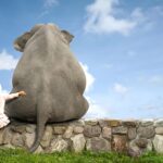 ¿Meditar o relajar?