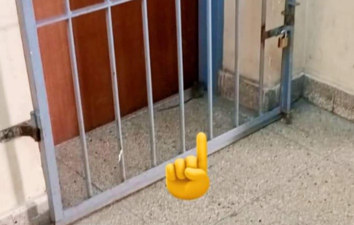 Denuncian la presencia de ratas en la Escuela Mitre de Once