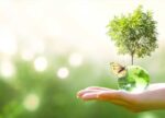 Buenos Aires conmemora el Día de la Conciencia Ambiental