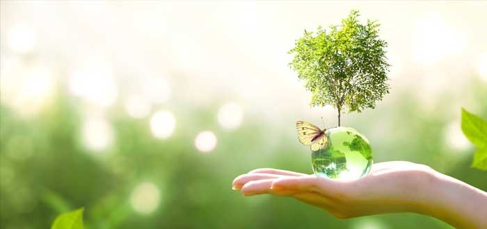 Almagro: encuentro sobre arbolado en la Usina Cultural del Sur