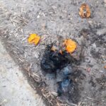 Villa del Parque: tenía frutas el paquete sospechoso detonado ante la casa del juez de la Causa Vialidad