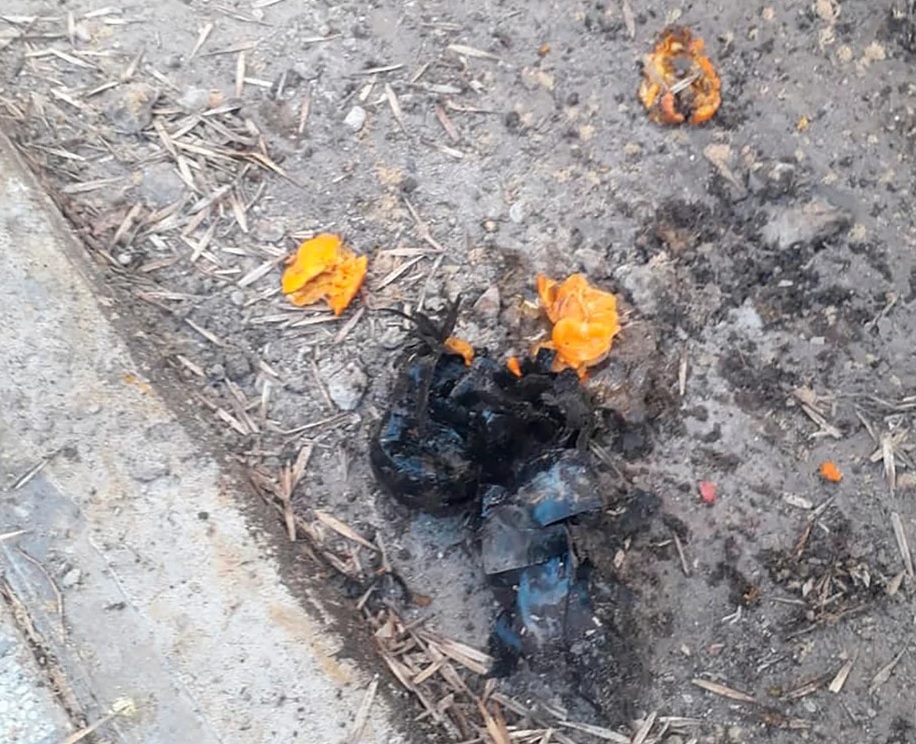 Villa del Parque: tenía frutas el paquete sospechoso detonado ante la casa del juez de la Causa Vialidad