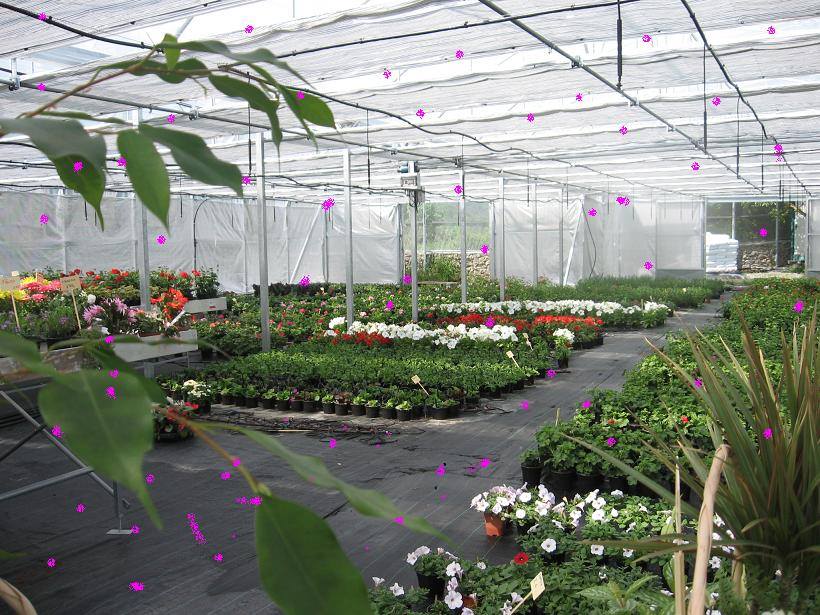Cursos de Floricultura y Jardinería en la Facultad de Agronomía de la UBA