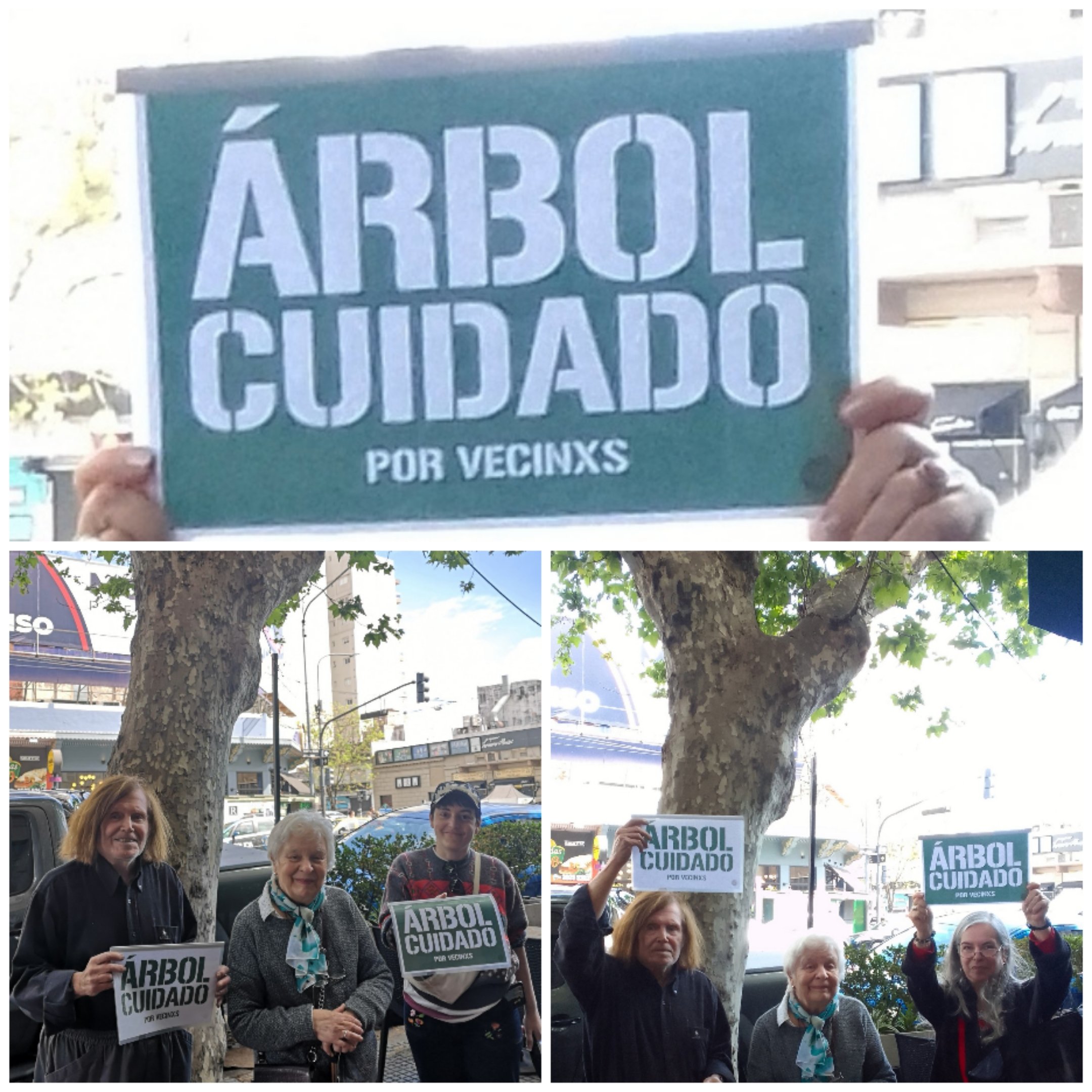 Boedo: vecinos se unen contra la extracción de un árbol en la vía pública de San Juan y Boedo