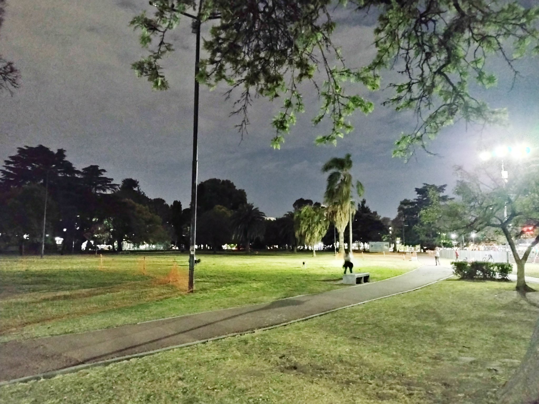 Reportan que “la mitad” del Parque Saavedra carece de iluminación