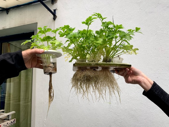 Una escuela de Parque Avellaneda, entre las 10 mejores del mundo por su proyecto de biodiversidad en el ex Olimpo