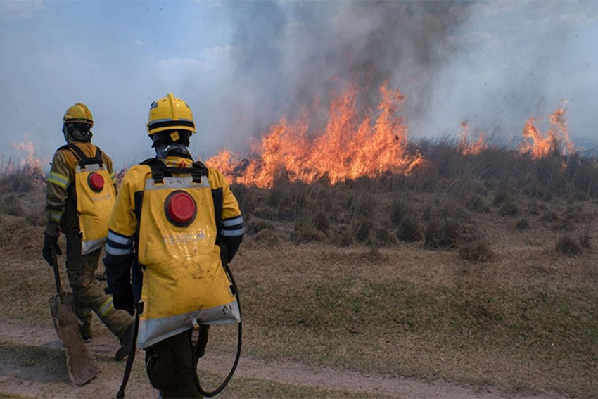 Siguen los incendios provocados en el Delta del Paraná y una fiscal demanda a 19 propietarios