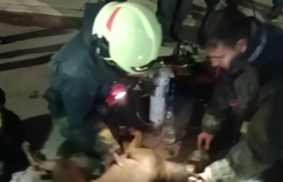 Rescatan a mascotas atrapados en incendio en Barracas