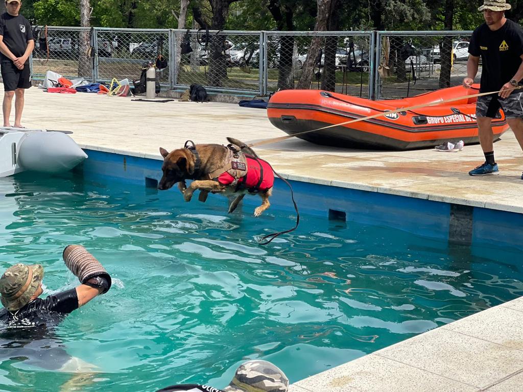 Egresaron 22 nuevos operadores tácticos K9 del segundo curso de la Policía de la Ciudad
