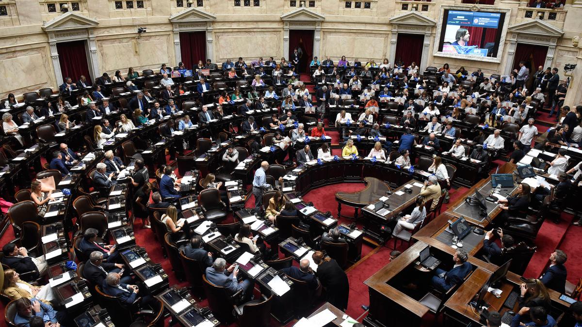 Media sanción en Diputados a la Ley de Alcohol Cero