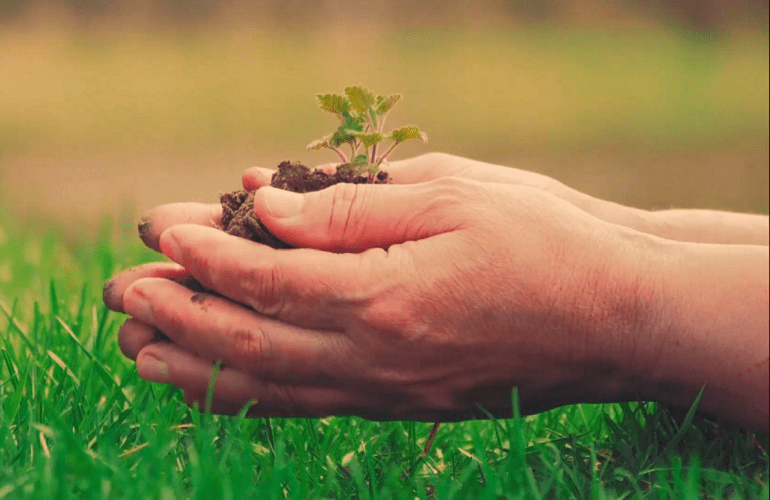 Benito Roggio Ambiental
