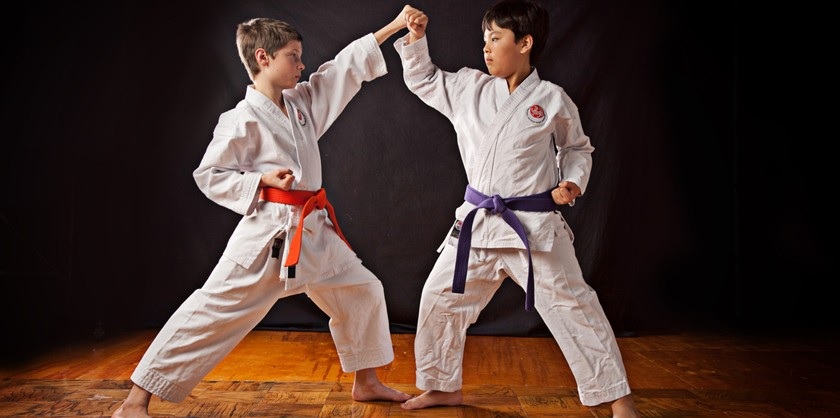 Piden incorporar la práctica de artes marciales en la enseñanza educativa