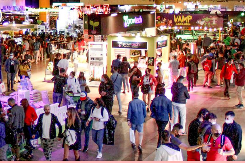 Masiva concurrencia a la tercera edición de Expo-cannabis