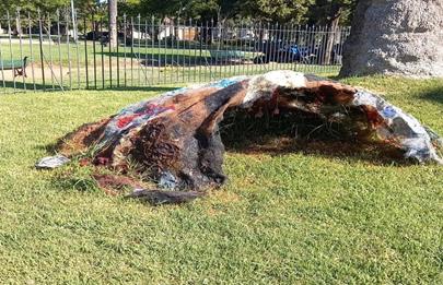 Última semana del ciclo 2022 de muestras en la Casona de los Olivera