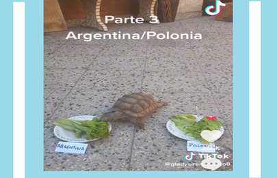 Mundial de Qatar “la tortuga Pandolfina acertó el pronóstico”