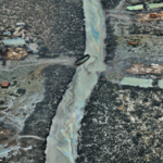 Antropoceno la nueva muestra de la fundación PROA