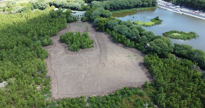 Reserva Ecológica Costanera Sur: ante la sequía, recuperaron parte de la Laguna de los Patos y sumaron un mirador