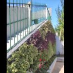 Almagro: instalaron un muro verde en el paso peatonal de Pringles