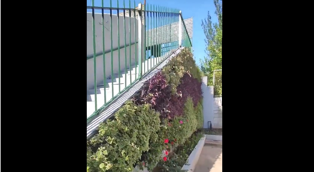 Almagro: instalaron un muro verde en el paso peatonal de Pringles