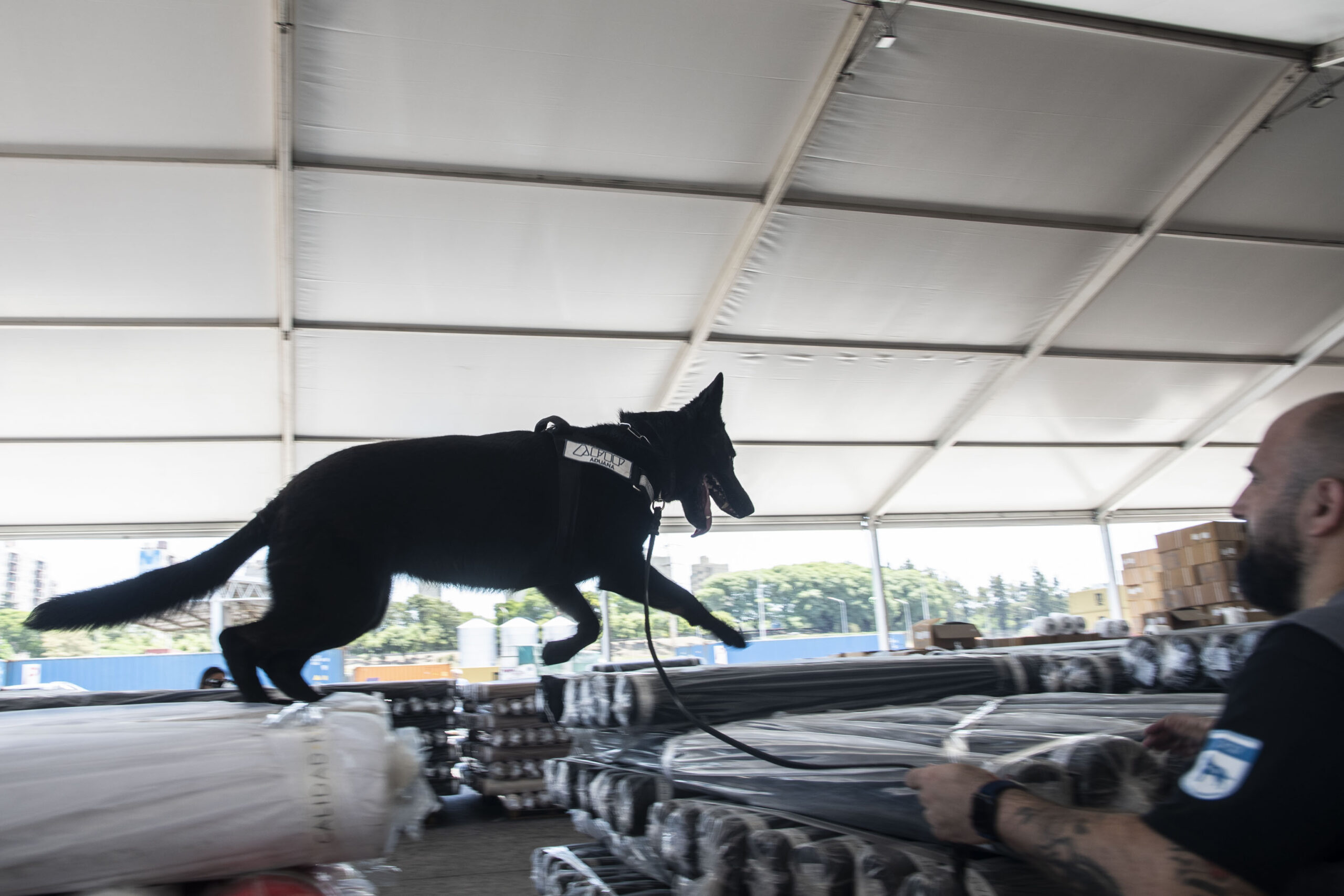 Desarticulan maniobra de «alquiler de cautelares» para importación de telas por US$ 2,75 millones