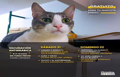 Vacunación antirrábica en Liniers y otros barrios