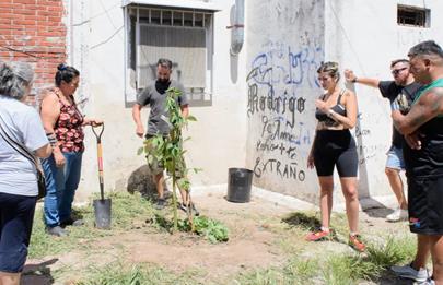 Plantación de árboles autóctonos en el barrio Illia