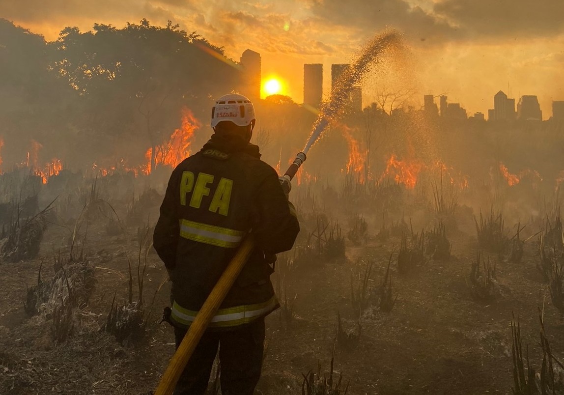 Se reactivaron dos focos de incendio en la Reserva Ecológica Costanera Sur