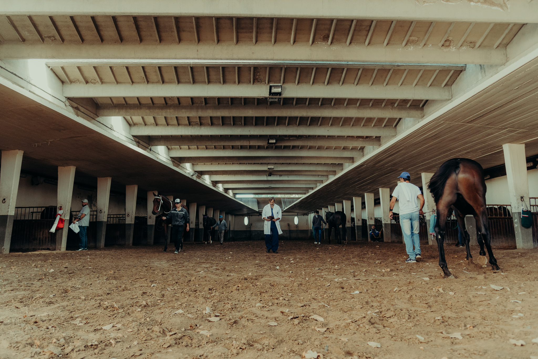 El Hipódromo de Palermo obtuvo la certificación en extracción de muestras biológicas