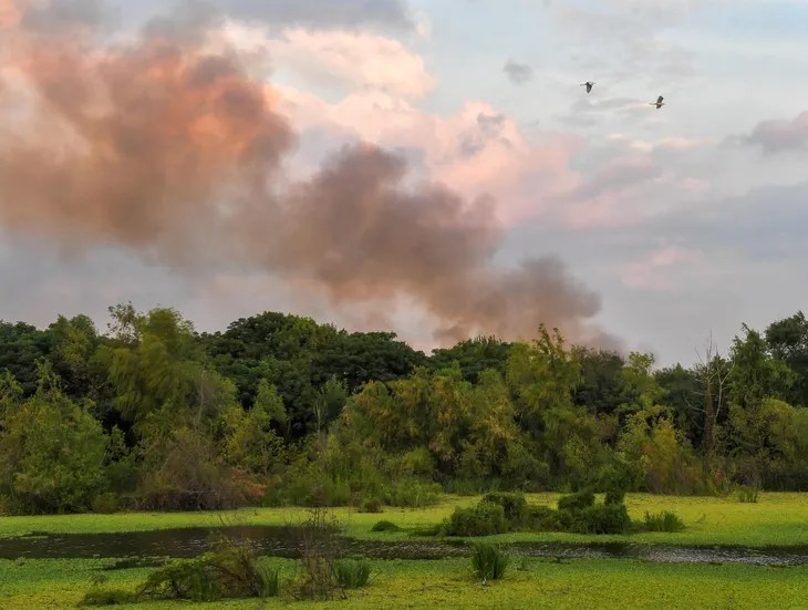 Los bomberos controlaron un incendio en la reserva ecológica