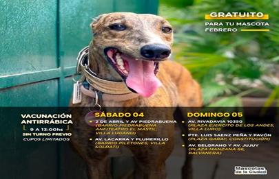 Vacunación antirrábica gratuita en barrio porteños