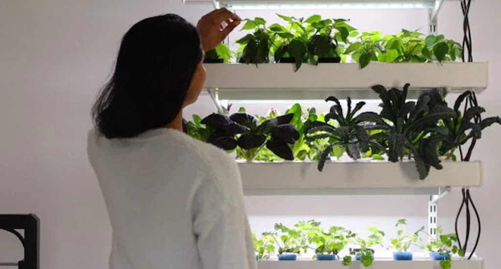 Cursos de Jardinería y Floricultura en la Escuela Juan O. Hall