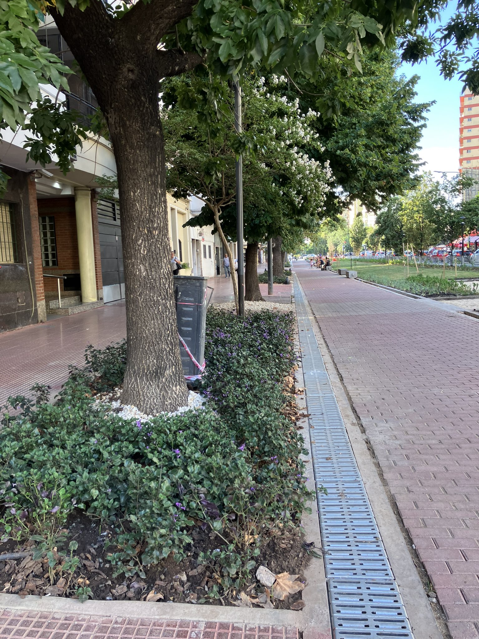 Caballito: la Justicia permite continuar con la obra del Parque Lineal Honorio Pueyrredón