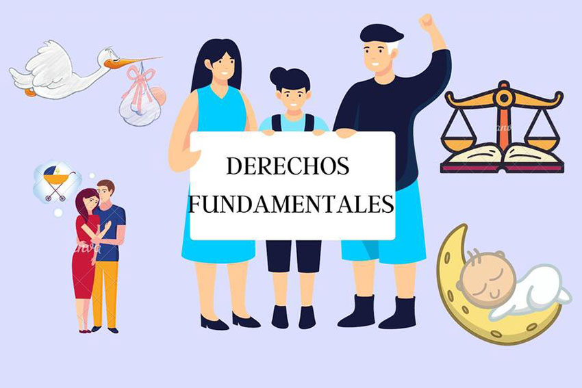 Crean una web que ayuda a resolver trámites en el ejercicio de derechos fundamentales