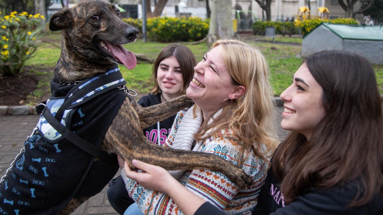 Almagro: Ayudacan y varias agrupaciones invitan al primer encuentro del año de organizaciones protectoras de animales