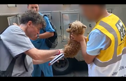 Rescataron 17 perros de un criadero ilegal en Liniers