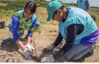 Inscripción para jornada de plantación de árboles en el Parque Indoamericano