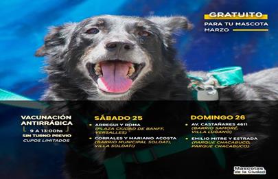 Llega la campaña de vacunación antirrábica a la Comuna 8