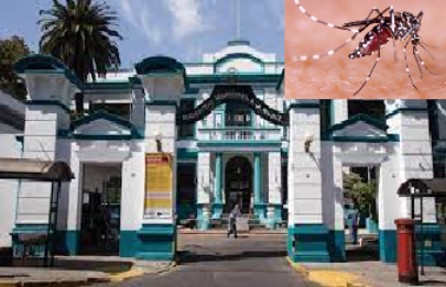 Confirman que hay circulación comunitaria de Dengue en la Ciudad