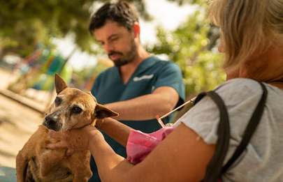 Operativos de zoonosis en la Cuenca Matanza Riachuelo realizados por ACUMAR