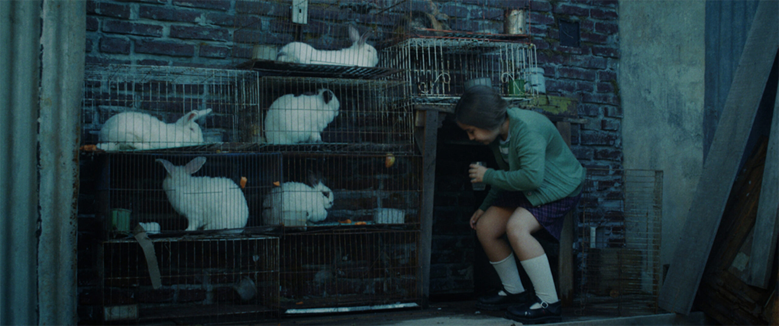 Regresa a los cines “La casa de los conejos”, la mirada de una niña sobre la última dictadura