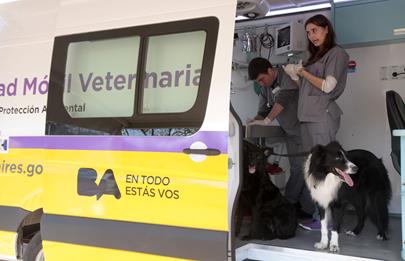 Atención veterinaria y castraciones gratis