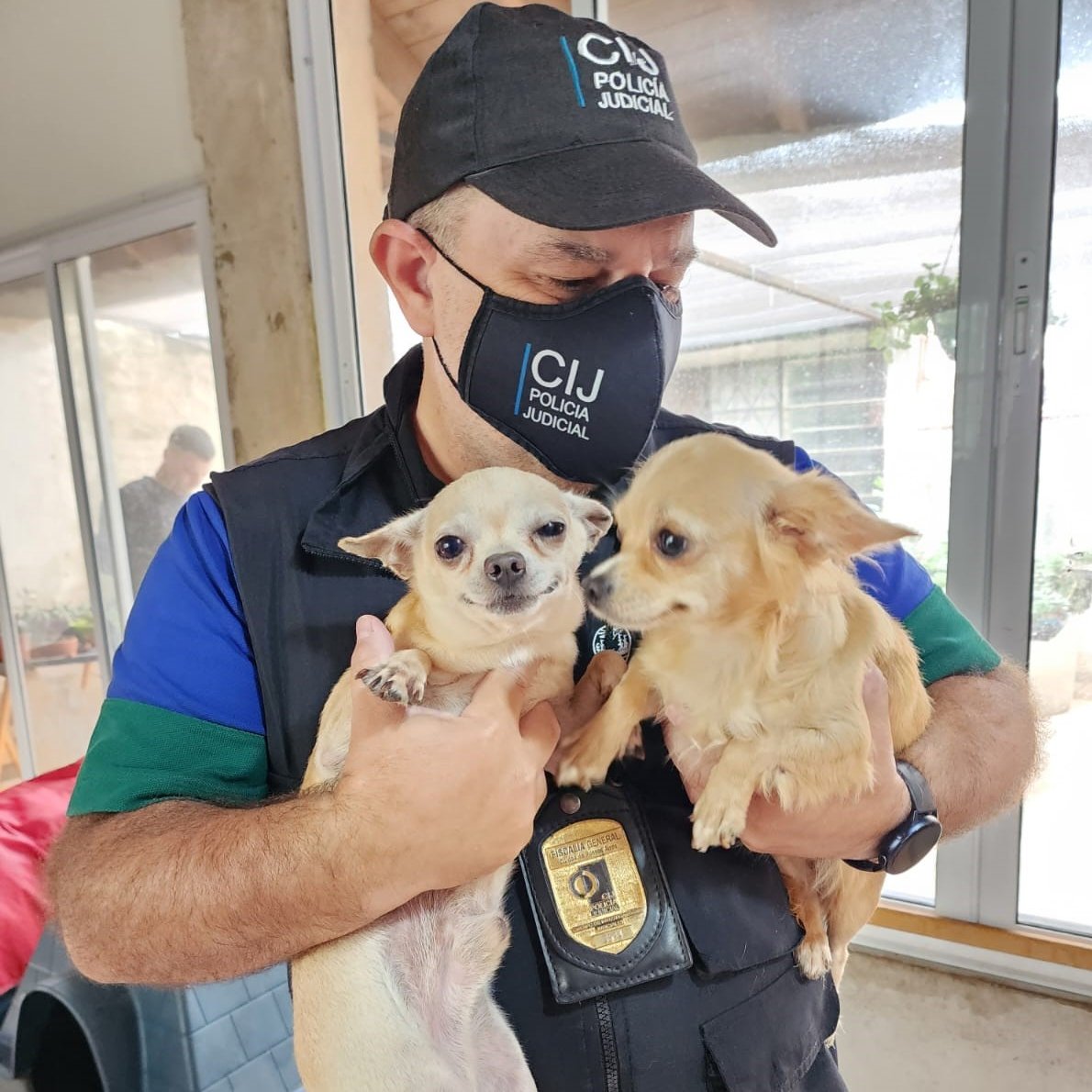 Floresta: clausuran un criadero ilegal de perros y rescatan a seis chihuahuas