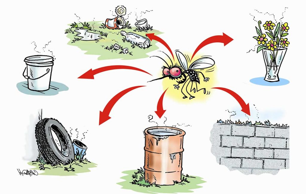 Circulan en el país nuevas variantes de Dengue tipo 2 y Chikungunya